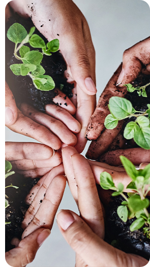 Sustainability